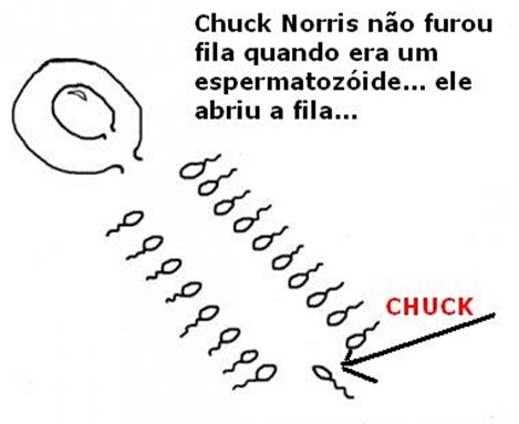 chuknoia