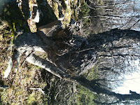Dagalifjellet Photo Dagalifjellet Photo