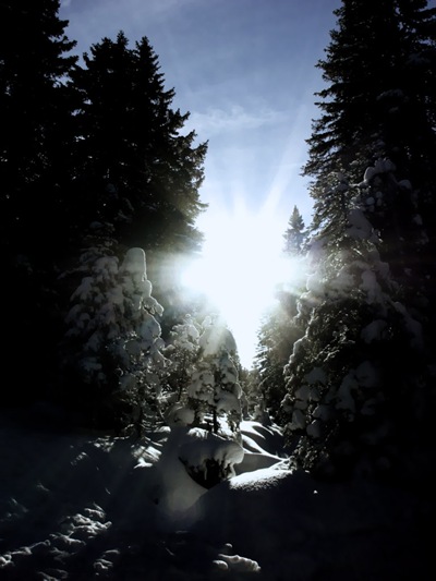 rogla