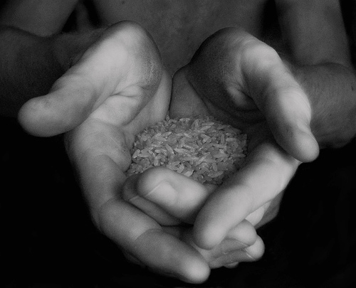 Give this days ...