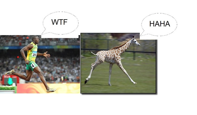 [Bolt Giraffe[8].jpg]