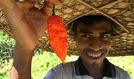 καυτερή πιπεριά