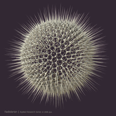 Radiolarian - Zoom in on Google Picasa Web Album!