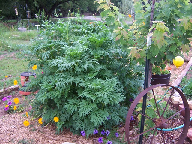 [July26090122.jpg]