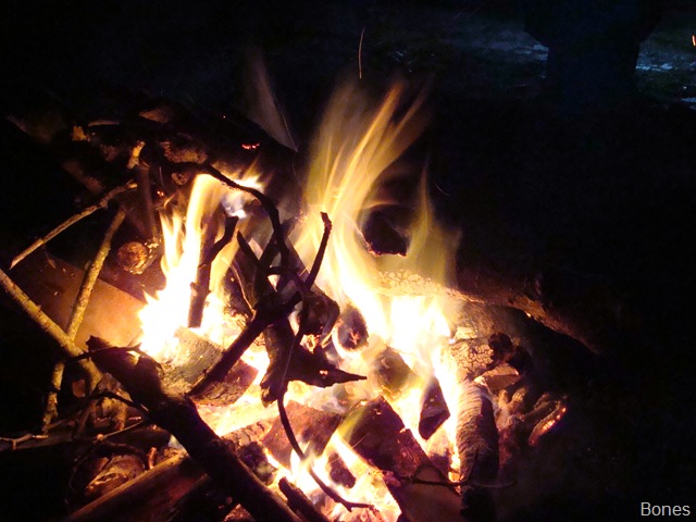 [DSC06128[1].jpg]