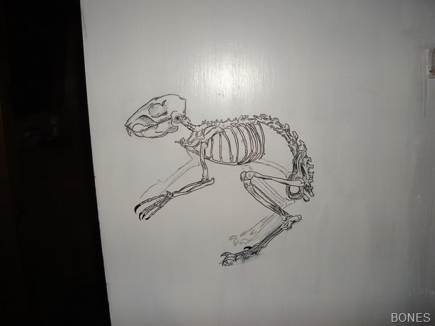 [2bones[5].jpg]