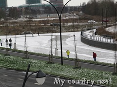 IMG_3794