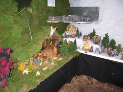 IMG_6127