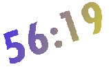 56-19 56-19