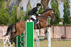  equestrian