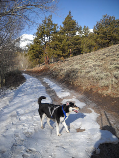 DSCN5527.JPG