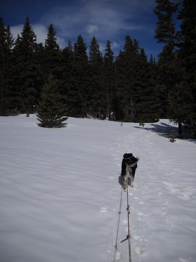 DSCN5535.JPG