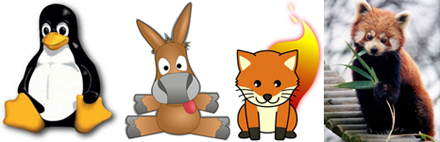 Linux, Emule, FireFox e o Panda Vermelho