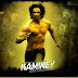 Kaminey going strong in US