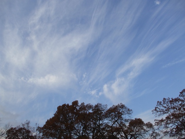 [looking at sky on friday 12-4-09 003[4].jpg]