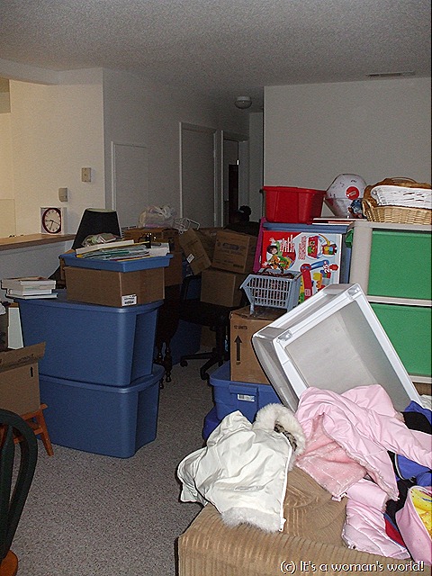 [DSCF55337.jpg]