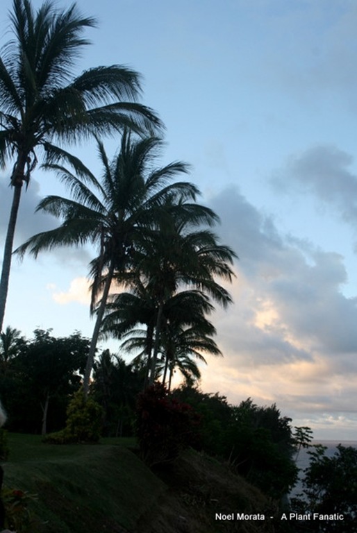 IMG_1449 IMG_1449