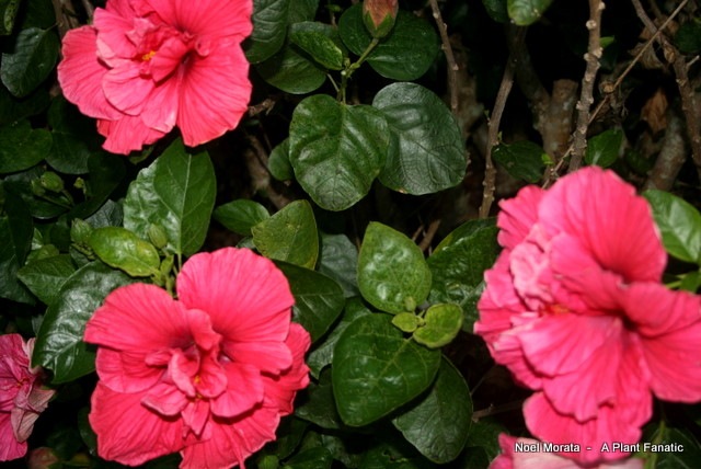 IMG_1488 IMG_1488