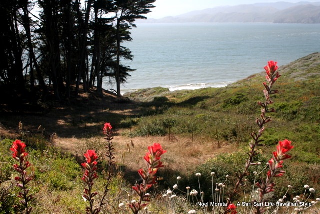 [IMG_85903.jpg]
