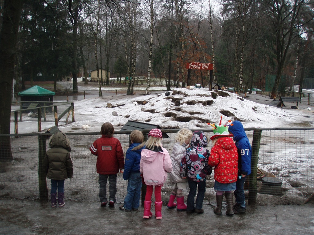 [P1290075[4].jpg]