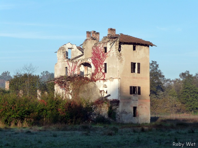 [P1010768[14].jpg]