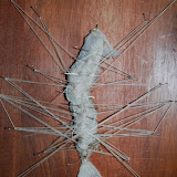 DSC_0999.JPG
