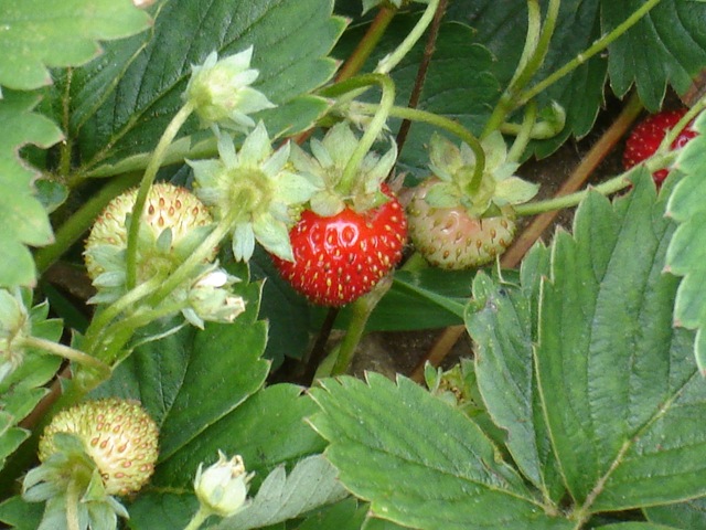 [DSC043743.jpg]