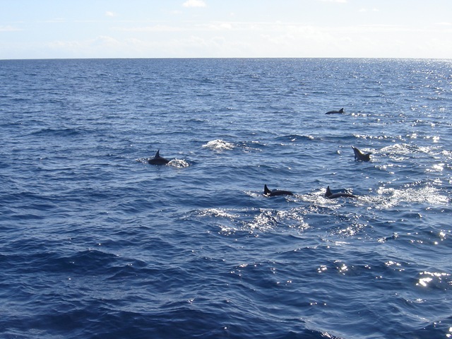 [DSC070243.jpg]