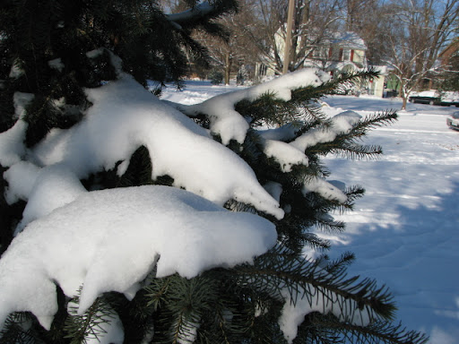 Snow
