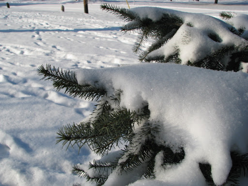 Snow