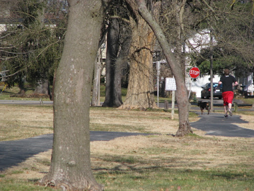 Phelps Grove Neighborhood