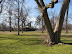 Phelps Grove Neighborhood thumb