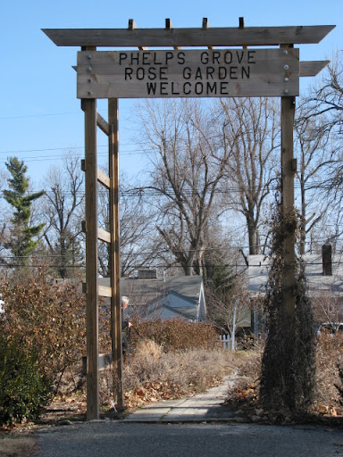 Phelps Grove Neighborhood