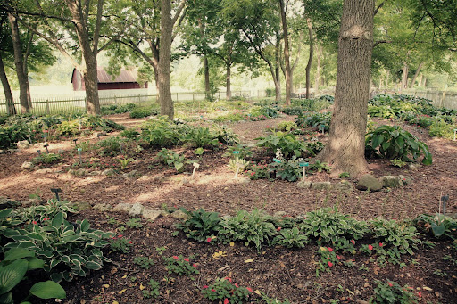 Close Memorial Park