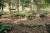 Close Memorial Park thumb