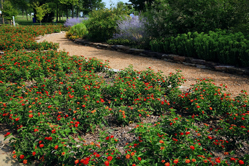 Close Memorial Park