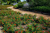 Close Memorial Park thumb