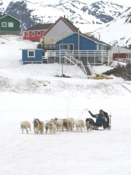 [090425 Hundevæddeløb 001x[2].jpg]