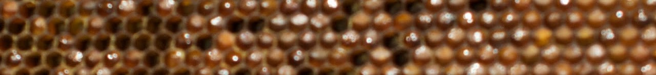Bee Bread 2