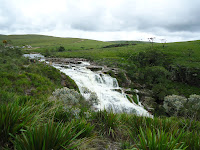 DSC02372.JPG