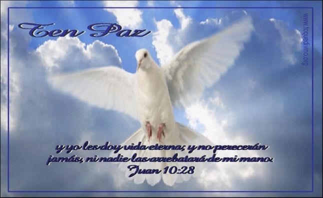 [2008416225500_TEN PAZ-YA[2].jpg]