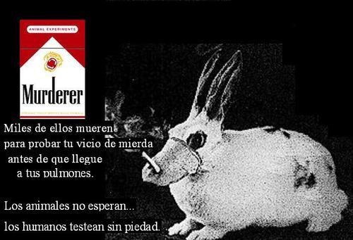 [ANTI TABACO COSASDIVERTIDAS (2)[2].jpg]