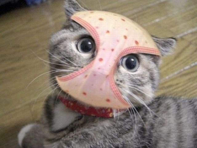 [untitled ww[2].jpg]