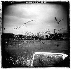 holga_dreams