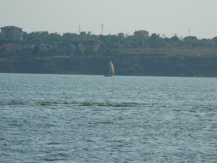P1070225.JPG