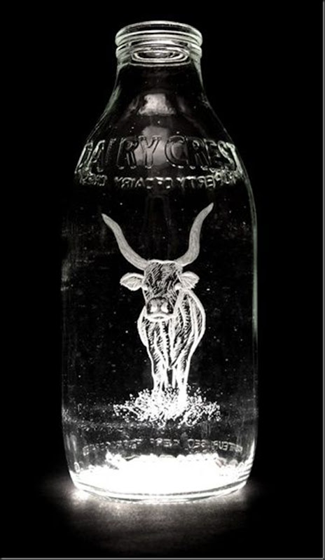 Arte na garrafa de leite por Charlotte Hughes-Martin (26)