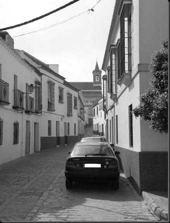 DSCN3024