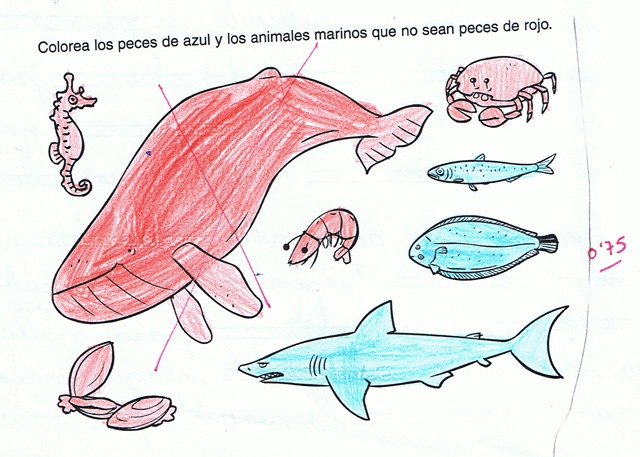 [examen2[6].jpg]