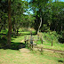 Auf dem Zomba Plateau