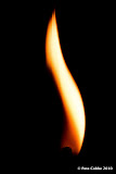burning_match_110310_img-010.jpg